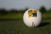 Pitch & Putt