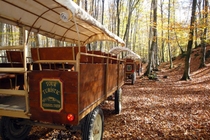 La Fageda de'n Jord�