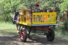 Passejada en carreta