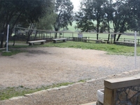 Camp de voleibol - 1