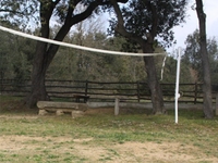 Camp de voleibol - 2