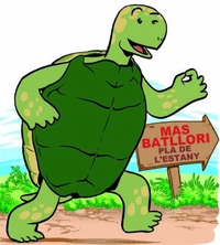 Cria i reproducci� de la tortuga mediterr�nia